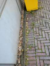KippenmüAnliegen vom *2025-09-18 15:30:30