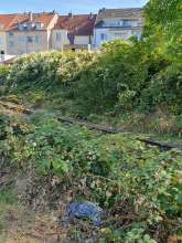 Bild zu gemeldetem Anliegen vom *2025-09-19 09:30:33