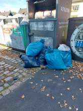 Bild zu gemeldetem Anliegen vom *2025-09-19 09:30:33