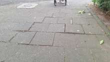 Bild zu gemeldetem Anliegen vom *2025-09-21 18:04:23
