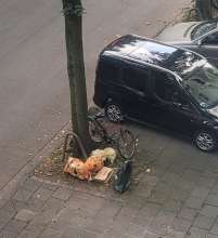 Bild zu gemeldetem Anliegen vom *2025-09-26 06:37:04