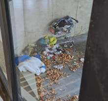 Bild zu gemeldetem Anliegen vom *2025-09-29 12:31:17