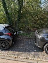 Bild zu gemeldetem Anliegen vom *2025-09-20 09:33:14
