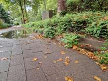Bild zu gemeldetem Anliegen vom *2025-09-22 12:27:51