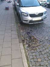 Bild zu gemeldetem Anliegen vom *2025-09-10 18:36:43