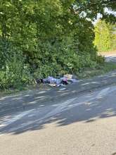 Bild zu gemeldetem Anliegen vom *2025-09-15 12:31:15