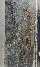 Bild zu gemeldetem Anliegen vom *2025-09-14 09:00:32