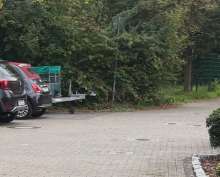 Bild zu gemeldetem Anliegen vom *2025-09-21 09:35:53