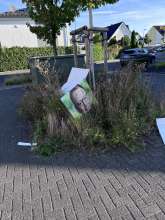 Bild zu gemeldetem Anliegen vom *2025-09-19 09:11:43