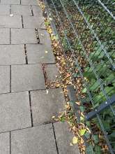 Bild zu gemeldetem Anliegen vom *2025-09-27 00:29:40