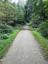 Bild zu gemeldetem Anliegen vom *2025-09-08 15:30:29