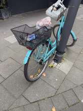 Bild zu gemeldetem Anliegen vom *2025-09-24 14:05:55