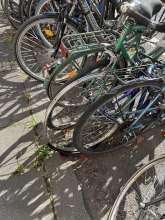 Bild zu gemeldetem Anliegen vom *2025-09-27 12:27:41