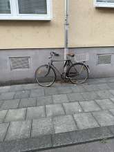 Bild zu gemeldetem Anliegen vom *2025-09-27 18:59:35