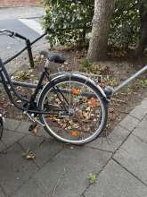 Bild zu gemeldetem Anliegen vom *2025-09-27 19:19:43