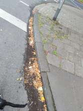 Bild zu gemeldetem Anliegen vom *2025-09-08 18:32:19