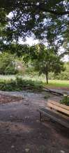  Großer Ast abgebrochen, liegt auf dem Fußweg nahe Spielplatz*2025-09-14 16:11:26