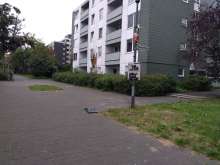 Bild zu gemeldetem Anliegen vom *2025-09-17 18:30:43