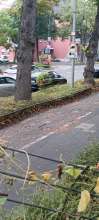 Bild zu gemeldetem Anliegen vom *2025-09-29 12:31:17
