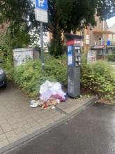 Bild zu gemeldetem Anliegen vom *2025-09-08 09:32:29