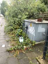 Bild zu gemeldetem Anliegen vom *2025-09-25 15:38:20