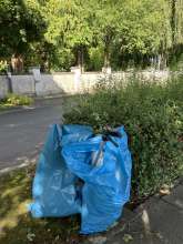Bild zu gemeldetem Anliegen vom *2025-09-14 18:28:26