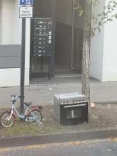 Bild zu gemeldetem Anliegen vom *2025-09-10 15:32:48