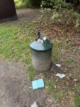 Bild zu gemeldetem Anliegen vom *2025-09-08 15:30:29