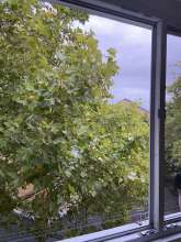 Bild zu gemeldetem Anliegen vom *2025-09-11 06:32:33
