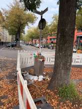 Bild zu gemeldetem Anliegen vom *2025-09-29 21:27:30