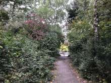 Zuwachsender Krankenhaus-Durchgang 2025-09-29 15:29:23