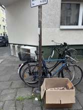 Bild zu gemeldetem Anliegen vom *2025-09-08 15:30:29