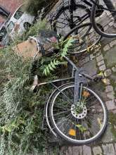Bild zu gemeldetem Anliegen vom *2025-09-25 12:30:13