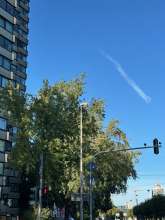 Bild zu gemeldetem Anliegen vom *2025-09-20 09:43:35