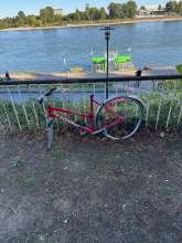 Bild zu gemeldetem Anliegen vom *2025-09-20 09:51:18