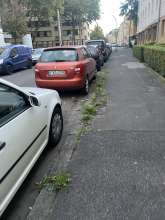 Bild zu gemeldetem Anliegen vom *2025-09-29 11:17:45