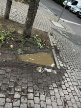 Bild zu gemeldetem Anliegen vom *2025-09-25 12:30:13