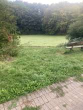 Bild zu gemeldetem Anliegen vom *2025-09-29 06:28:30