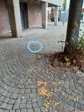 Bild zu gemeldetem Anliegen vom *2025-09-23 09:30:12