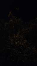 Bild zu gemeldetem Anliegen vom *2025-09-14 00:27:58