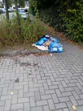 Bild zu gemeldetem Anliegen vom *2025-09-29 15:29:23