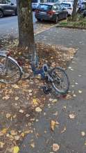 Bild zu gemeldetem Anliegen vom *2025-09-30 17:34:03