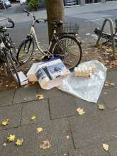 Bild zu gemeldetem Anliegen vom *2025-09-19 06:31:30