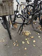 Bild zu gemeldetem Anliegen vom *2025-09-20 13:01:31