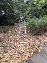 Bild zu gemeldetem Anliegen vom *2025-09-29 12:46:09
