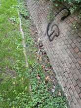 Bild zu gemeldetem Anliegen vom *2025-09-29 12:56:03