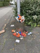 Bild zu gemeldetem Anliegen vom *2025-09-30 10:21:12
