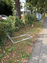 Bild zu gemeldetem Anliegen vom *2025-09-08 16:33:43