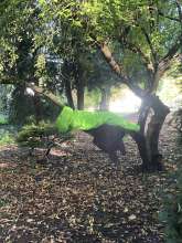 Bild zu gemeldetem Anliegen vom *2025-09-14 09:12:59