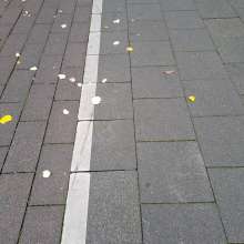 Bild zu gemeldetem Anliegen vom *2025-10-14 10:11:34